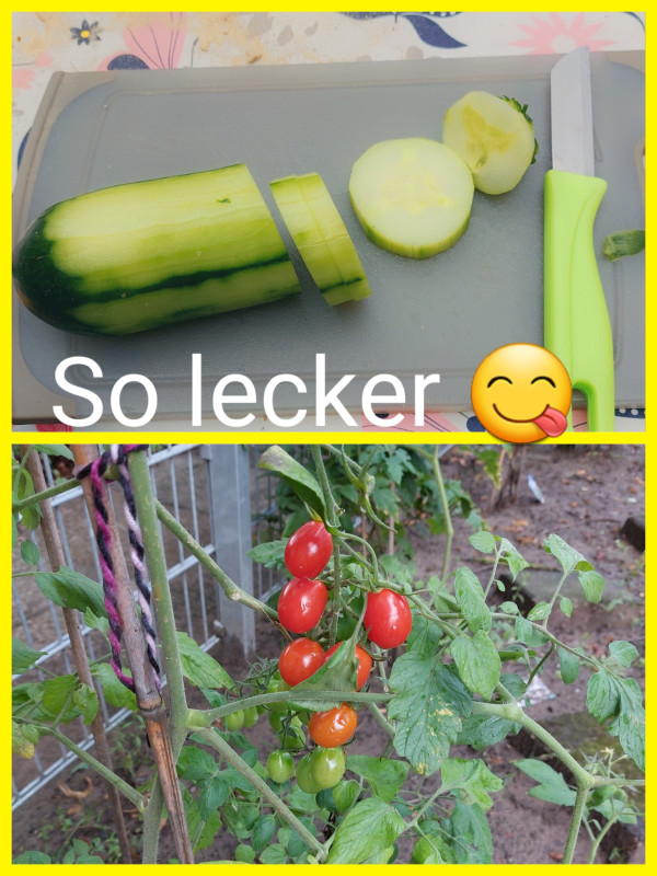 Frisch aus dem Garten